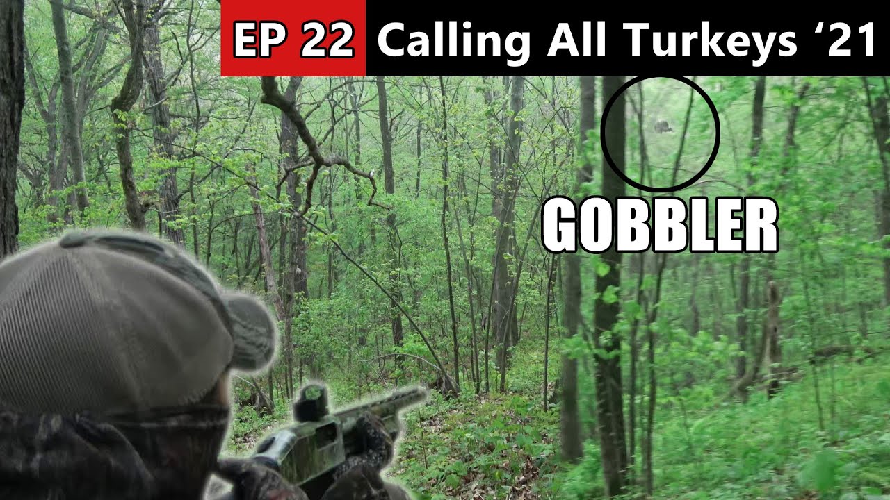 HE FLEW RIGHT TO US! -  Calling In A High Ridge Gobbler