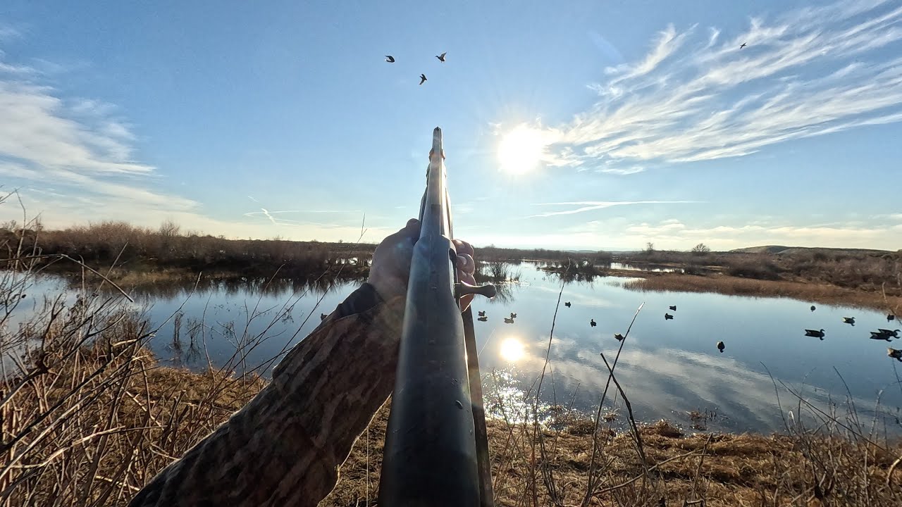 Duck hunting Washington state; Late season sunshine with my dog Kona