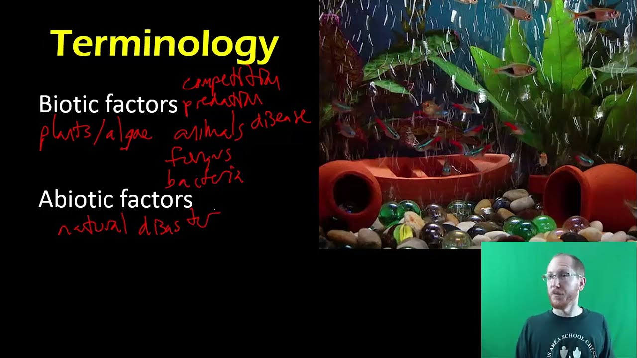 Biology:  Ecology Basics