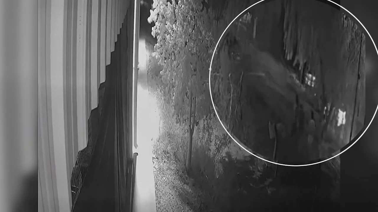 Así fue el choque mortal que terminó con la vida de Lucía Rubiño