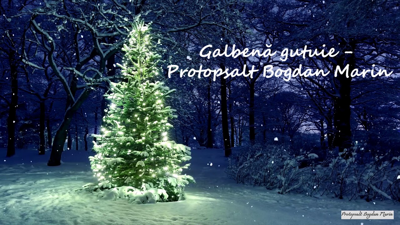 Galbena Gutuie - Protopsalt Bogdan Marin (Piesa - NICA ZAHARIA)