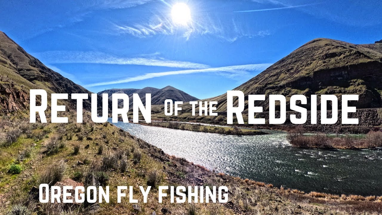 RETURN of the REDSIDE: Oregon Fly Fishing