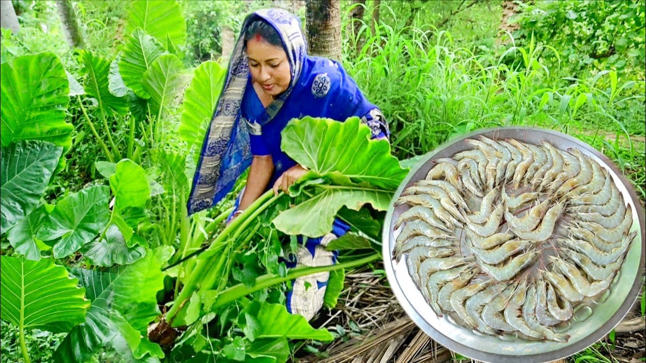 মাঠ থেকে মানকচু তুলে কচু বাটা আর চিংড়ি মাছের ভুনা রান্না করলাম সাথে দুপুরে খাওয়া দাওয়া
