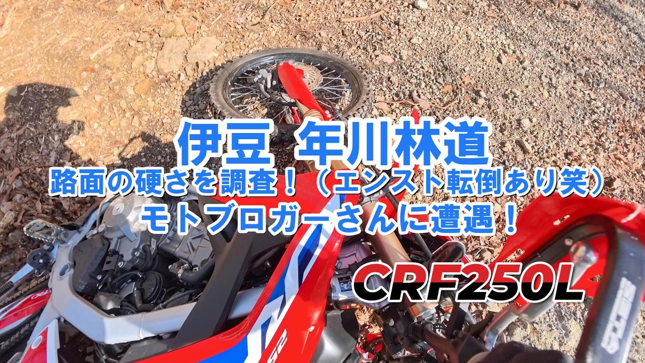 年川林道！エンスト転倒ｗモトブロガーさんに遭遇！　CRF250L　（マイクテストのため雑音あり）  2026/3/8