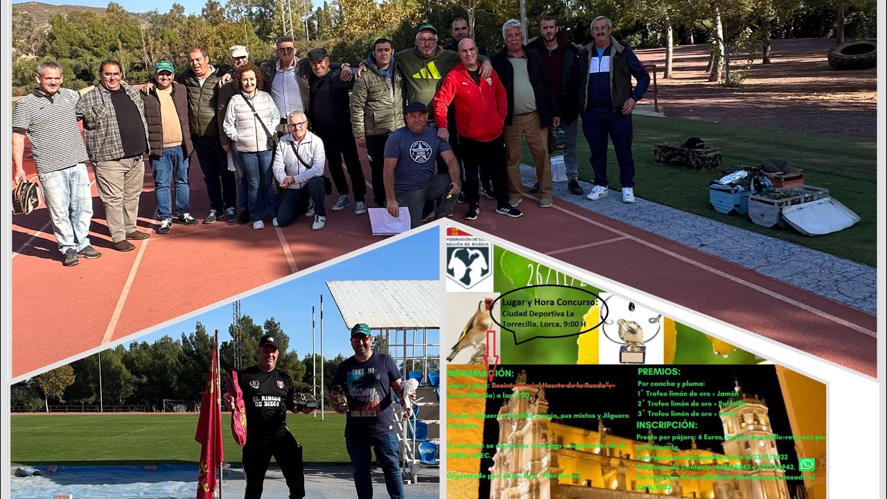 Concurso de SILVESTRISMO Limón 🍋 de Oro 2023