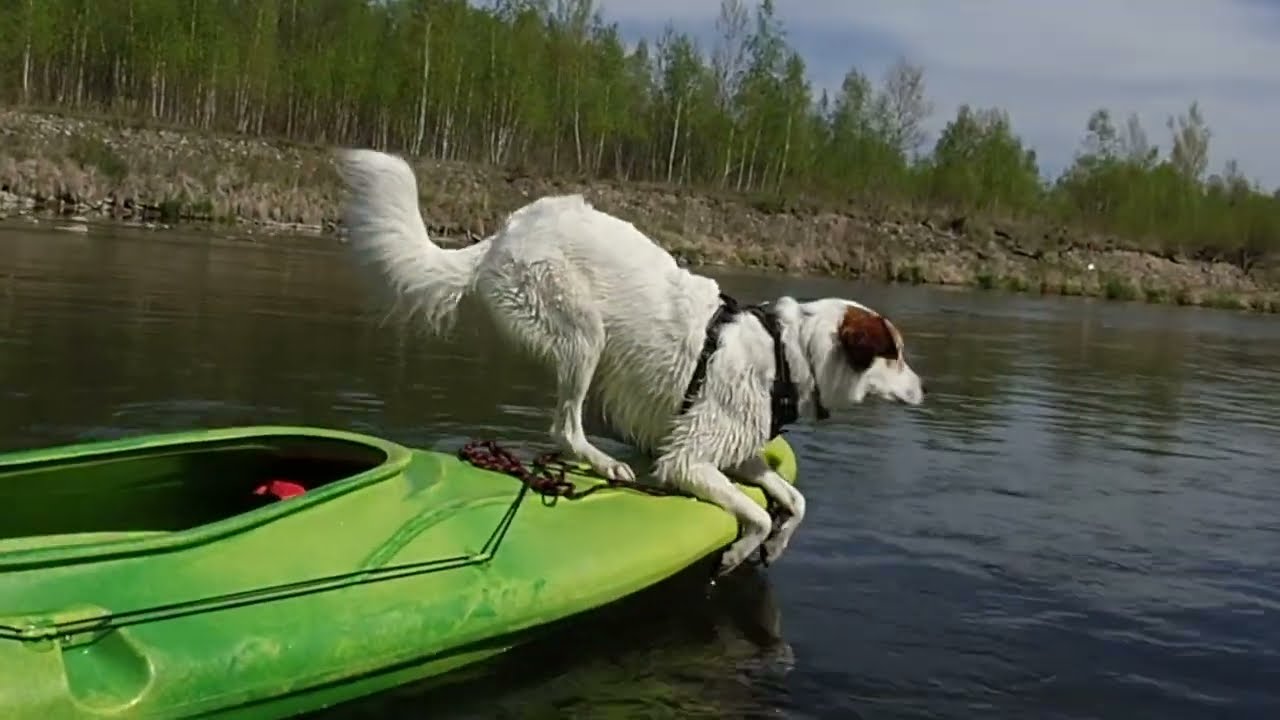 Easter Rafting on the Dunajec River — April 2025