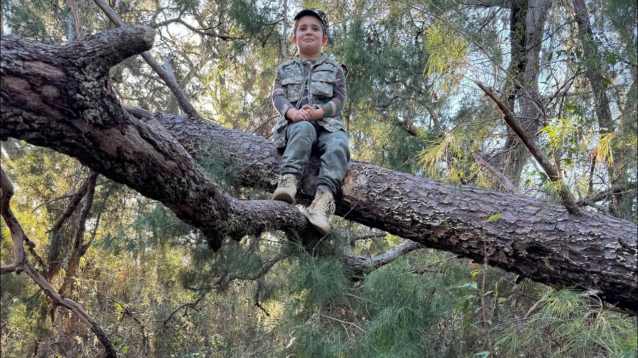 Birding Trail at Jay B. Starkey Wilderness Park, in New Port Richey, Florida 