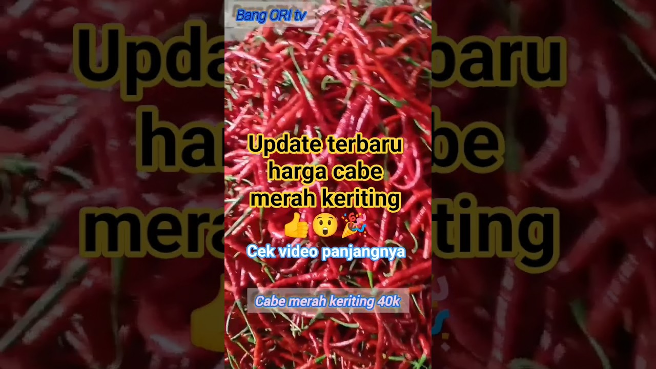 update terbaru harga cabe merah keriting @Bang ORI tv