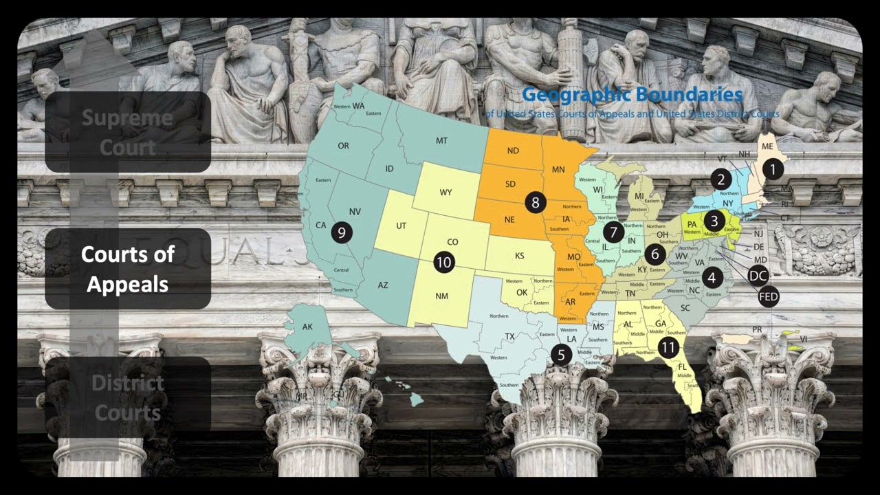 Demystifying the US Federal Court System: Structure and Function Explained