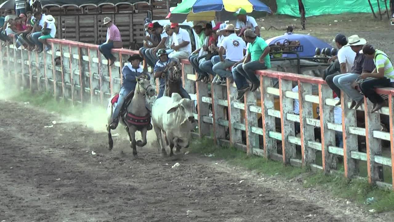 COLEO REYES