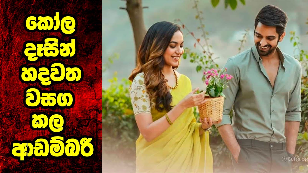 කෝල දෑසින් හදවත වාසග කල ආඩම්බරකාරී | Varudu Kavalenu Movie Review