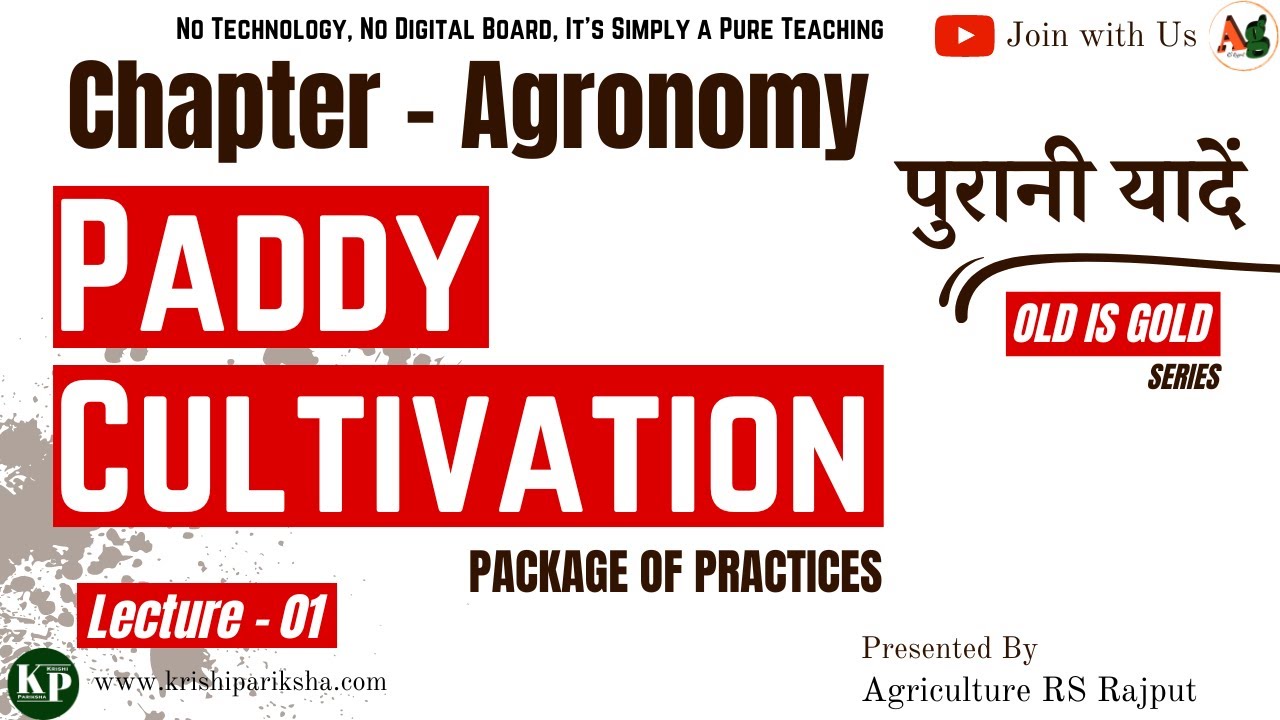 Paddy Cultivation | Package of Practices of Paddy | Agronomy | Crop Production | Cereals Crops