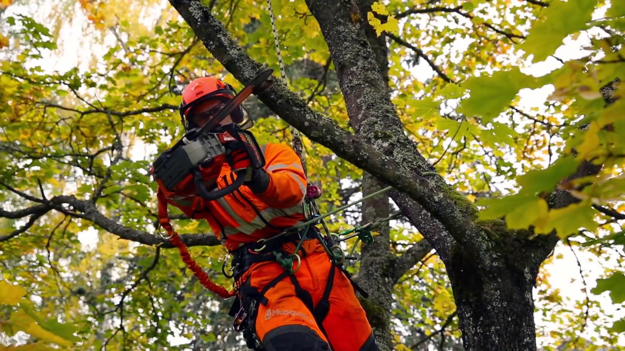 Očko pro uchycení arboristické pily