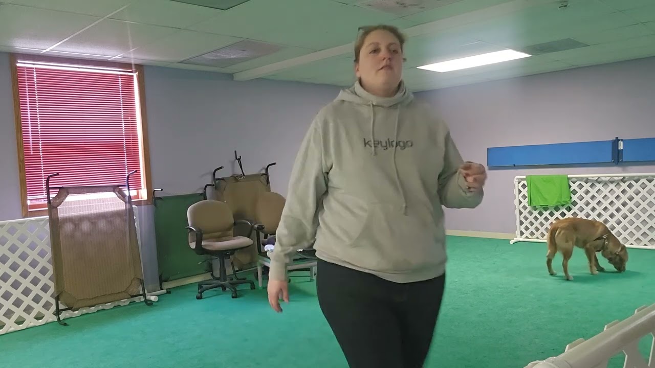 Murphy - stages 1-4 leave it 