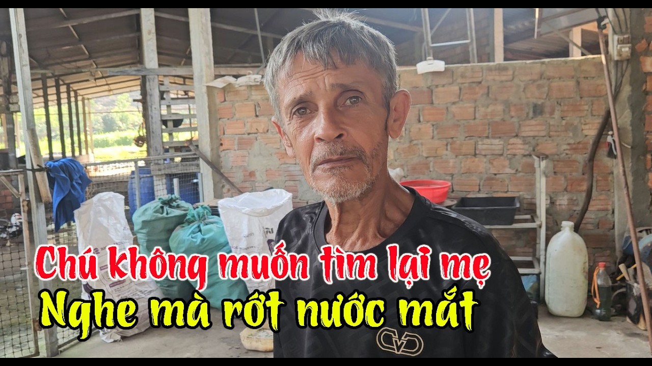 L&yacute; do khiến &ocirc;ng Ch&uacute; con lai kh&ocirc;ng muốn t&igrave;m lại mẹ Việt Kiều khiến ai nghe cũng rơi nước mắt.
