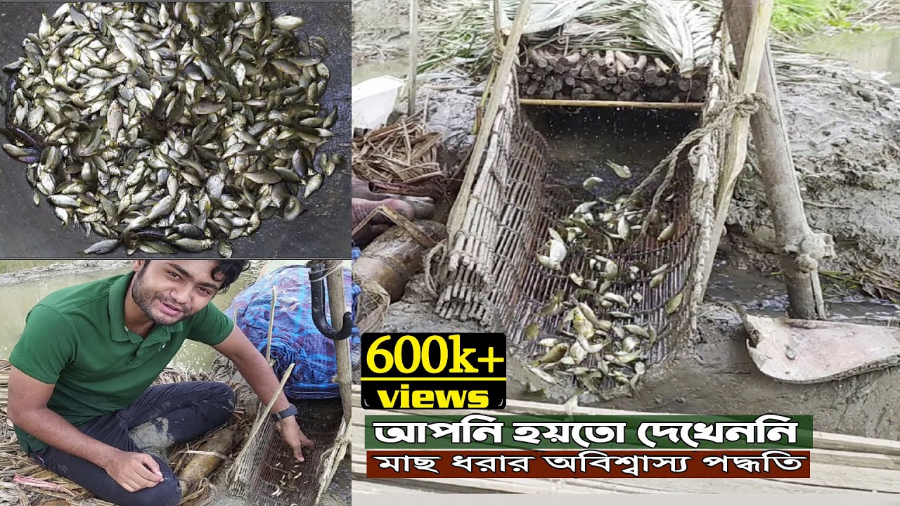 মাছ ধরার অবিশ্বাস্য পদ্ধতি | Incredible Fishing Methods You Haven’t Seen | Fish Agriculture