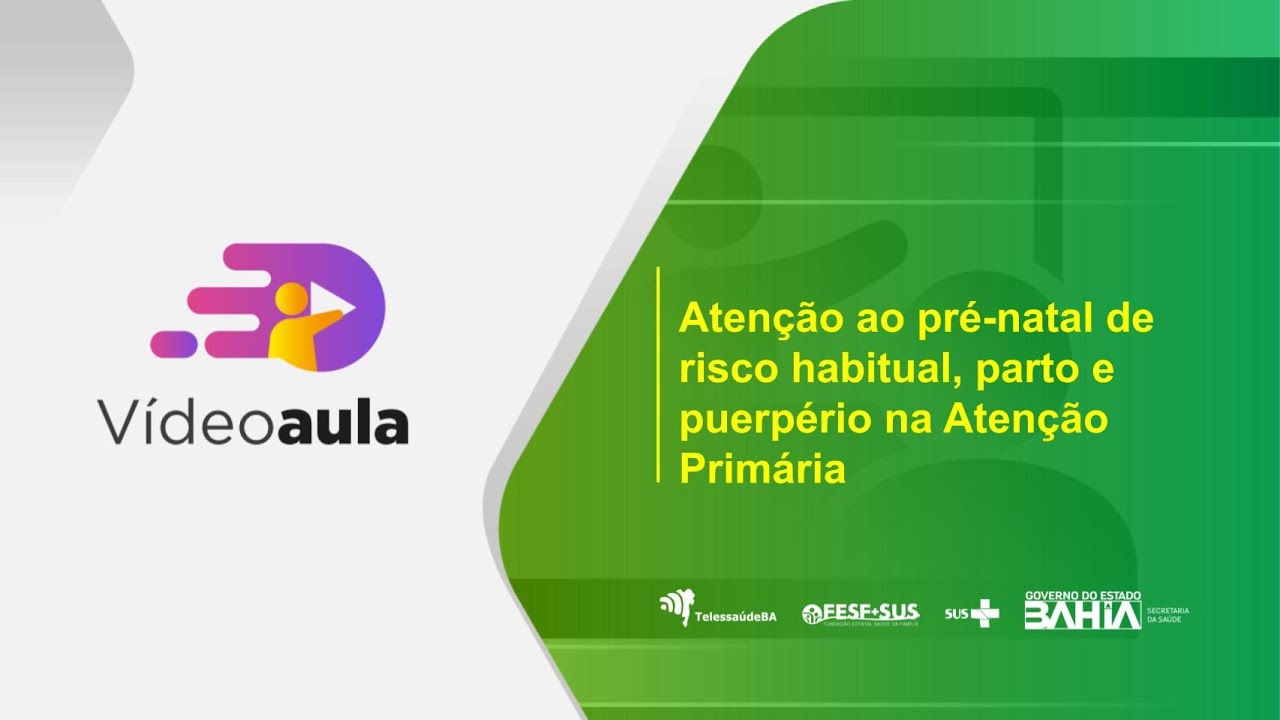 Videoaula: Atenção ao pré-natal de risco habitual, parto e puerpério na Atenção Primária