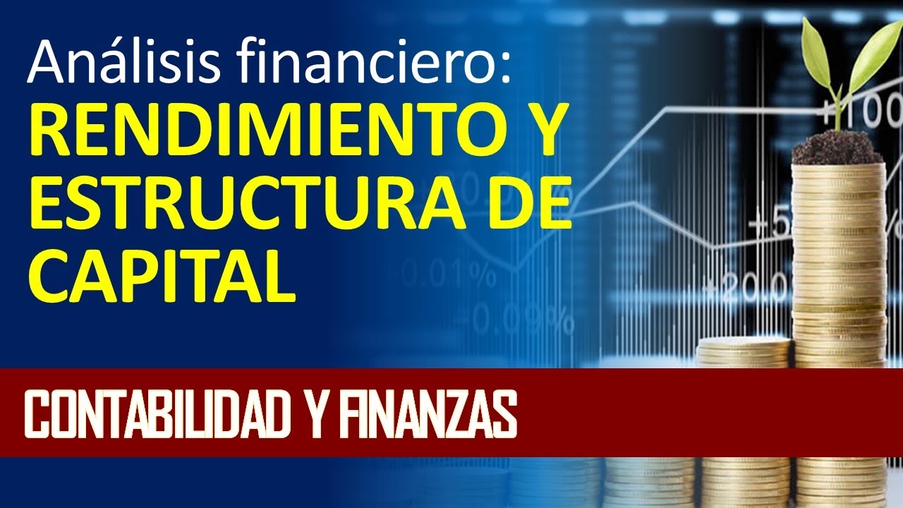 Análisis financiero: rendimiento y estructura de capital