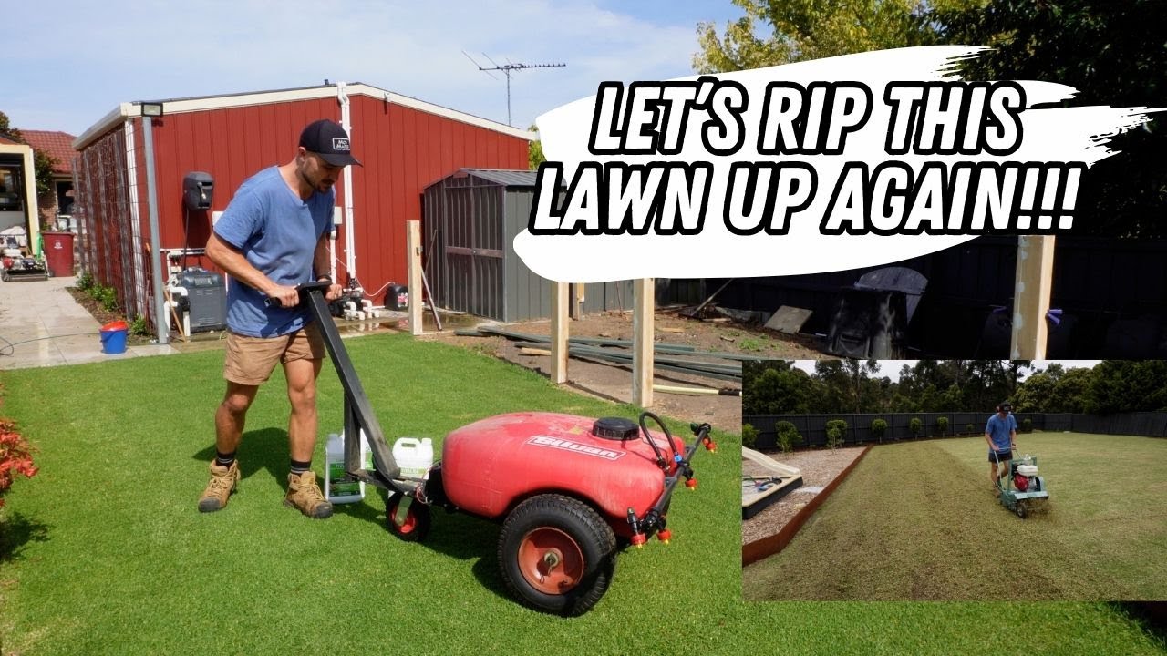 Late summer LAWN RENOVATION prep // making my lawn MUCH healthier