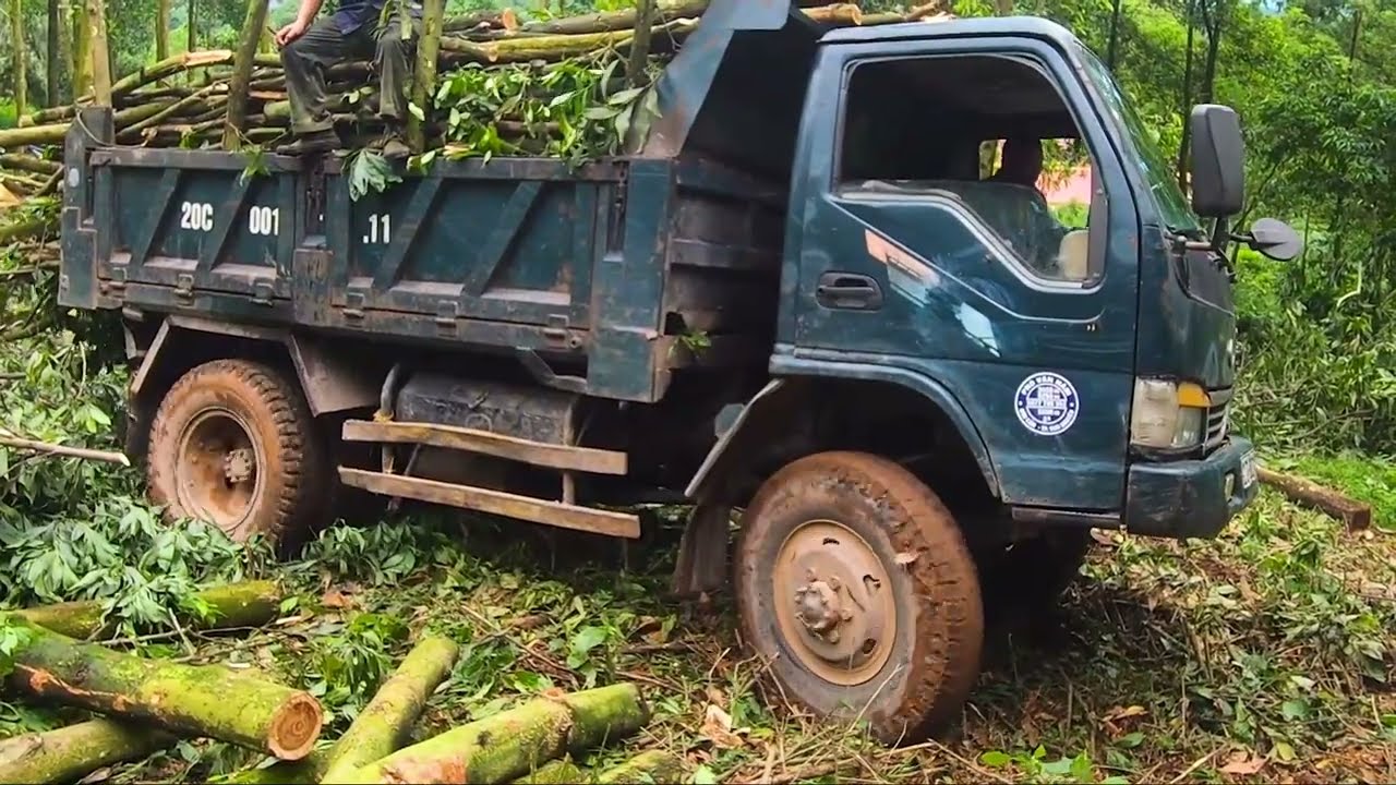 Overloaded Truck Stuck in Swamp – My Desperate Rescue Attempt and Need for Help!