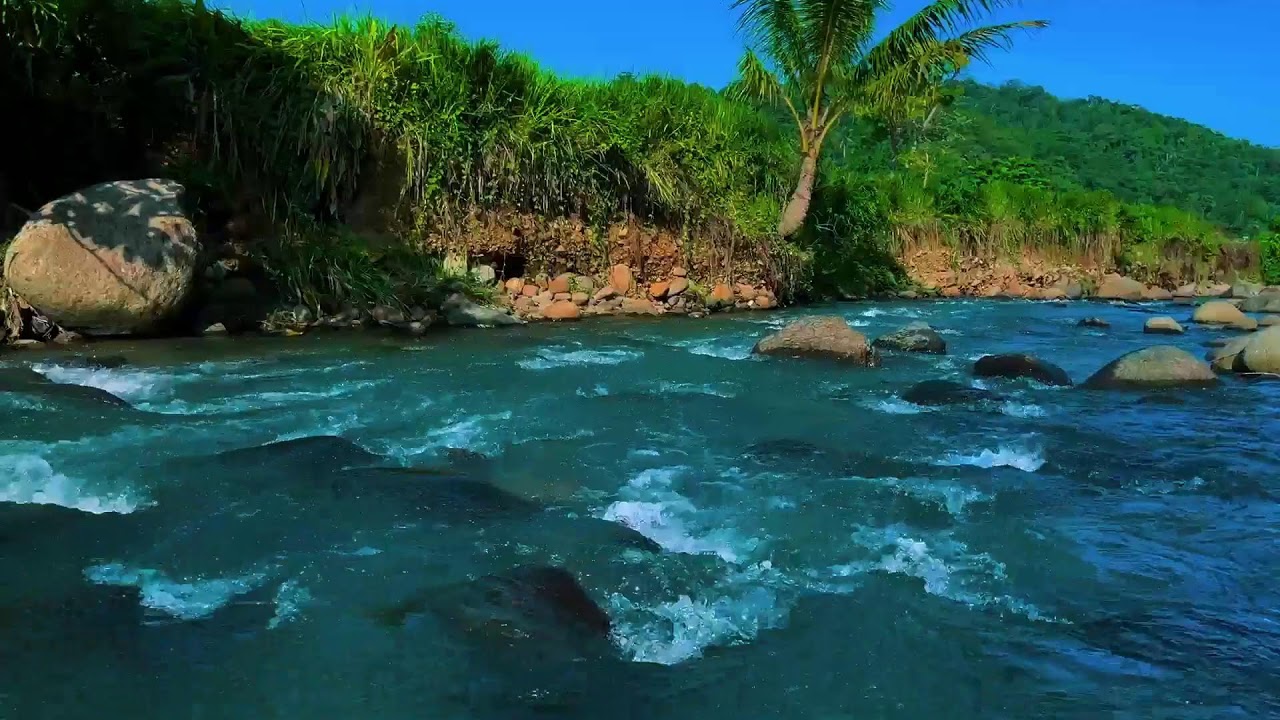 River Sounds for Deep Sleep – Tropical River White Noise to Knock You Out Fast