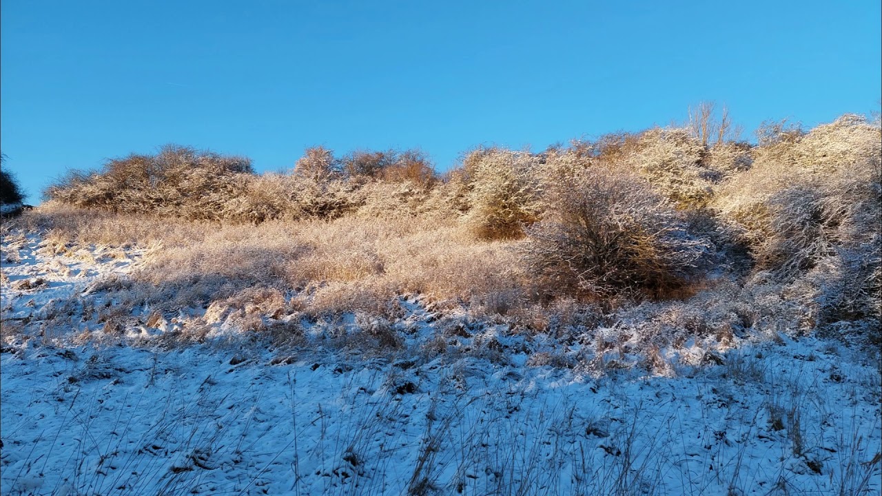Winter at Ish&oslash;j   Denmark   12 2021