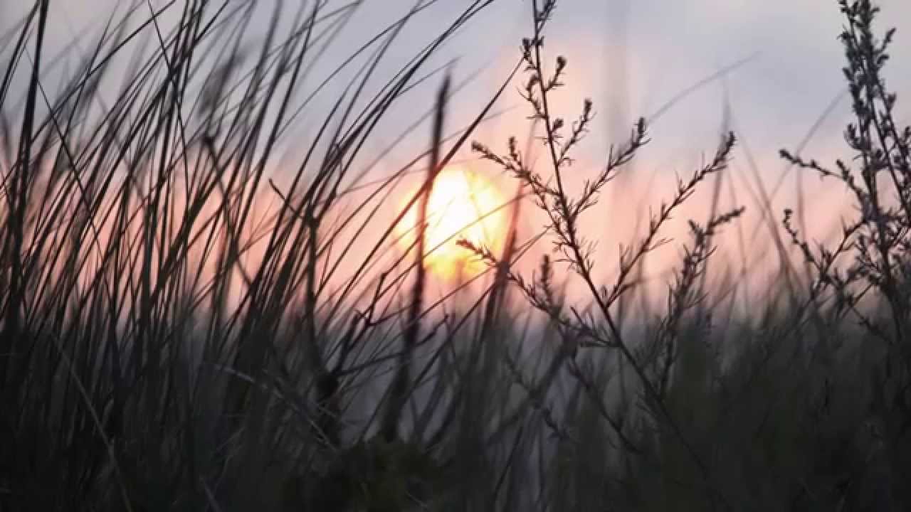 Latvia, Pape.  Sunset at Baltic sea-shore. July 24, 2009. [1080p HD].