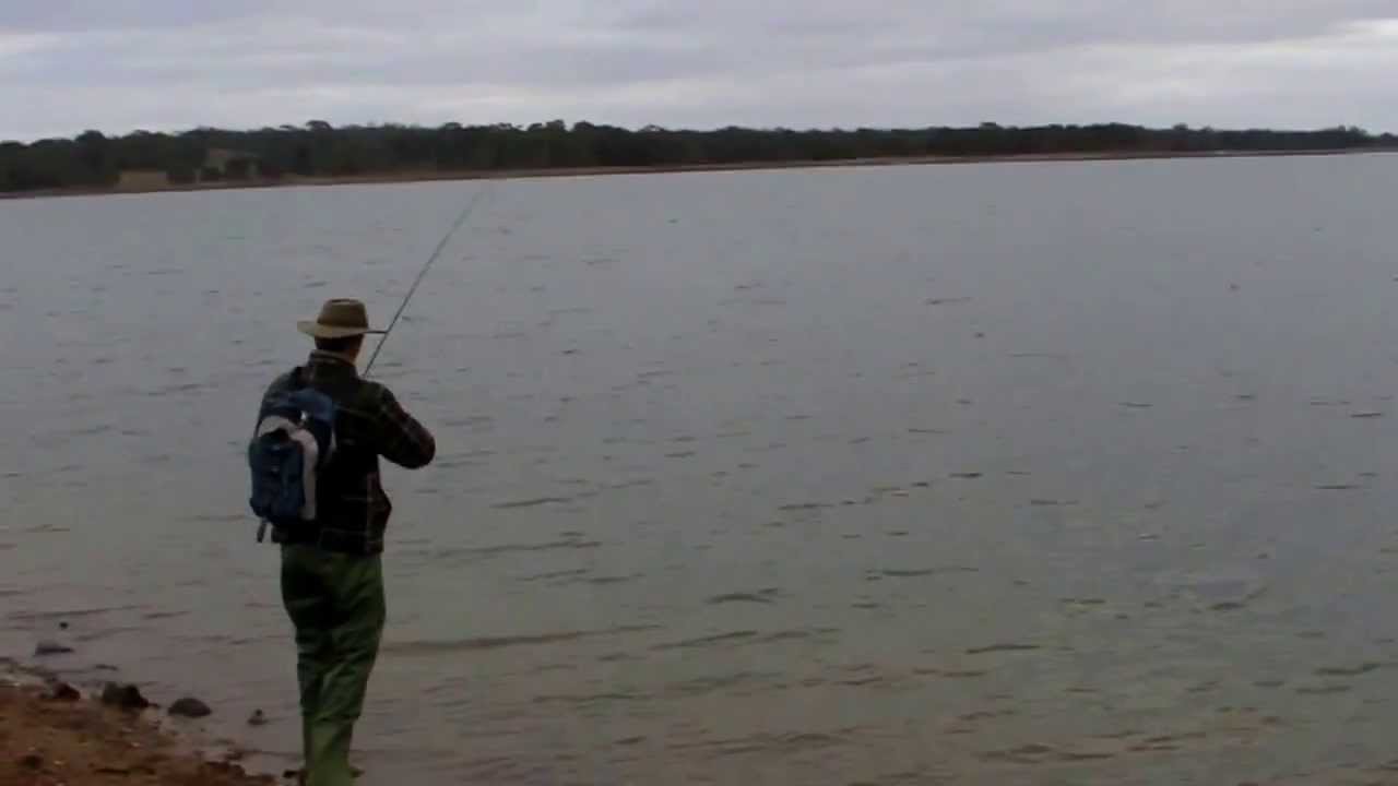 Brown Trout Fishing at Tullaroop Reservoir