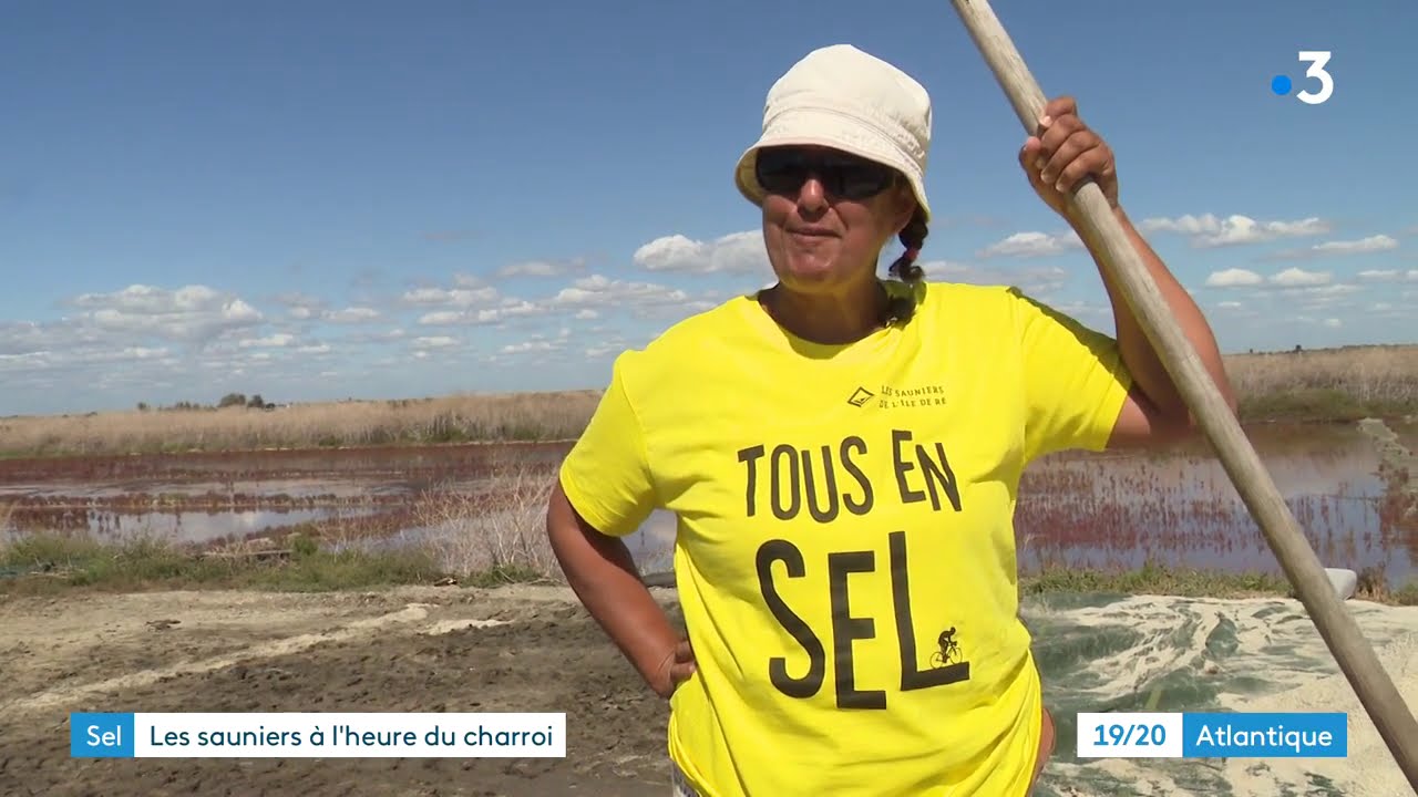 Ile de Ré : bilan fin de saison pour les sauniers