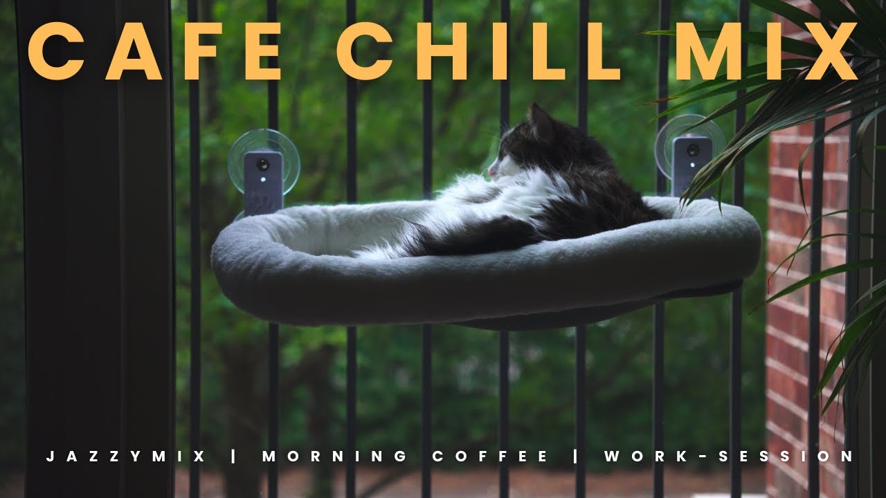 ☕ 1 Hour Cat Cafe Jazz Mix &ndash; Relaxing Bossa Nova & Morning Vibes with Hichi