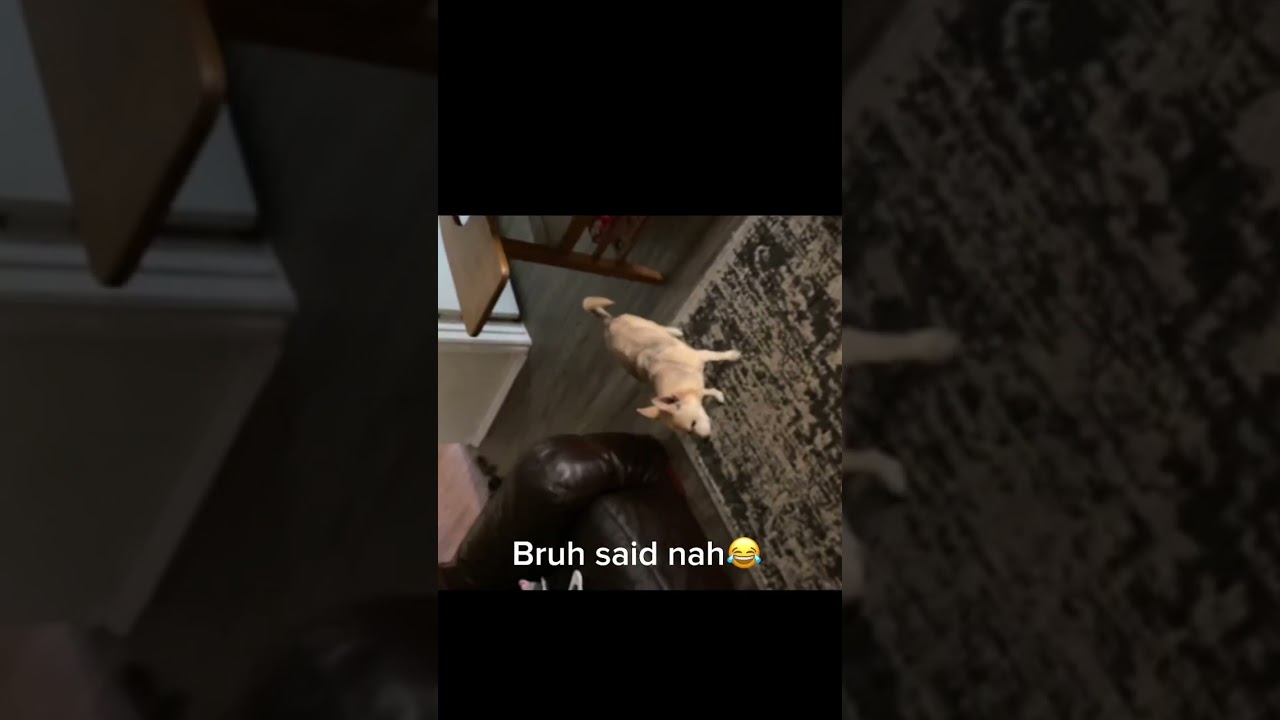 Scaring my aunt part 5😂 #shorts #funny #pranks #scared