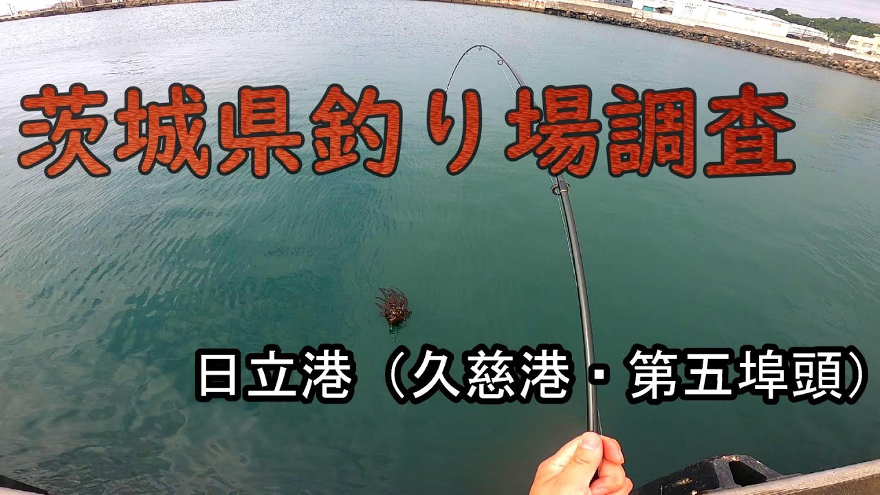 茨城県！釣り場状況チェック！#１【日立港（久慈港・第五埠頭）】