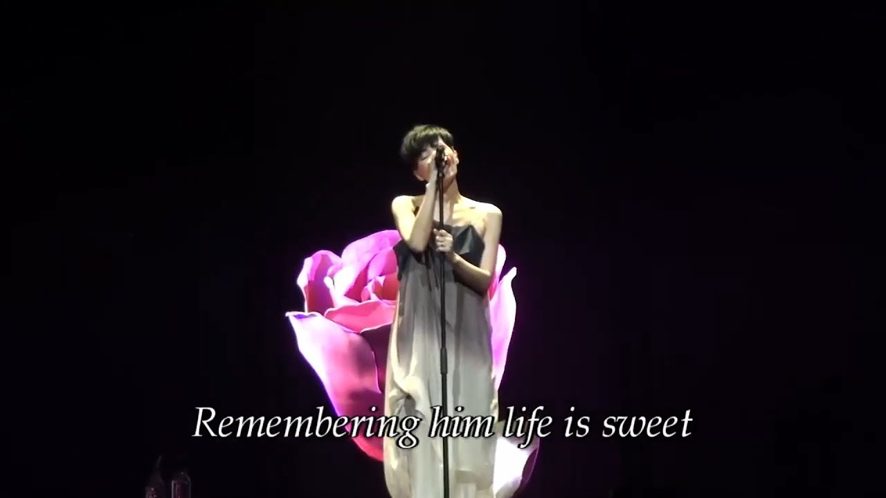 【巡唱|翻唱】王菲 Faye Wong - A Perfect Indian (Live 2011 完整版)