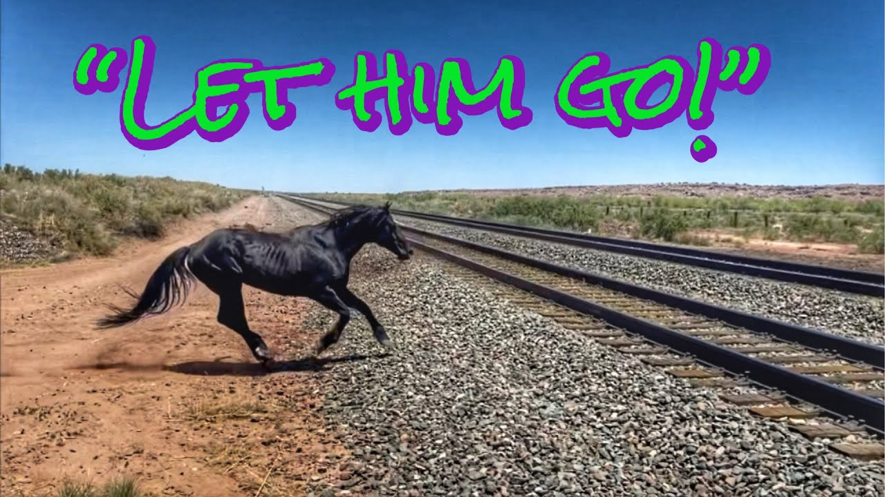 MONSTER!!! | Wanna do fun Cowboy things??? Build some fence first