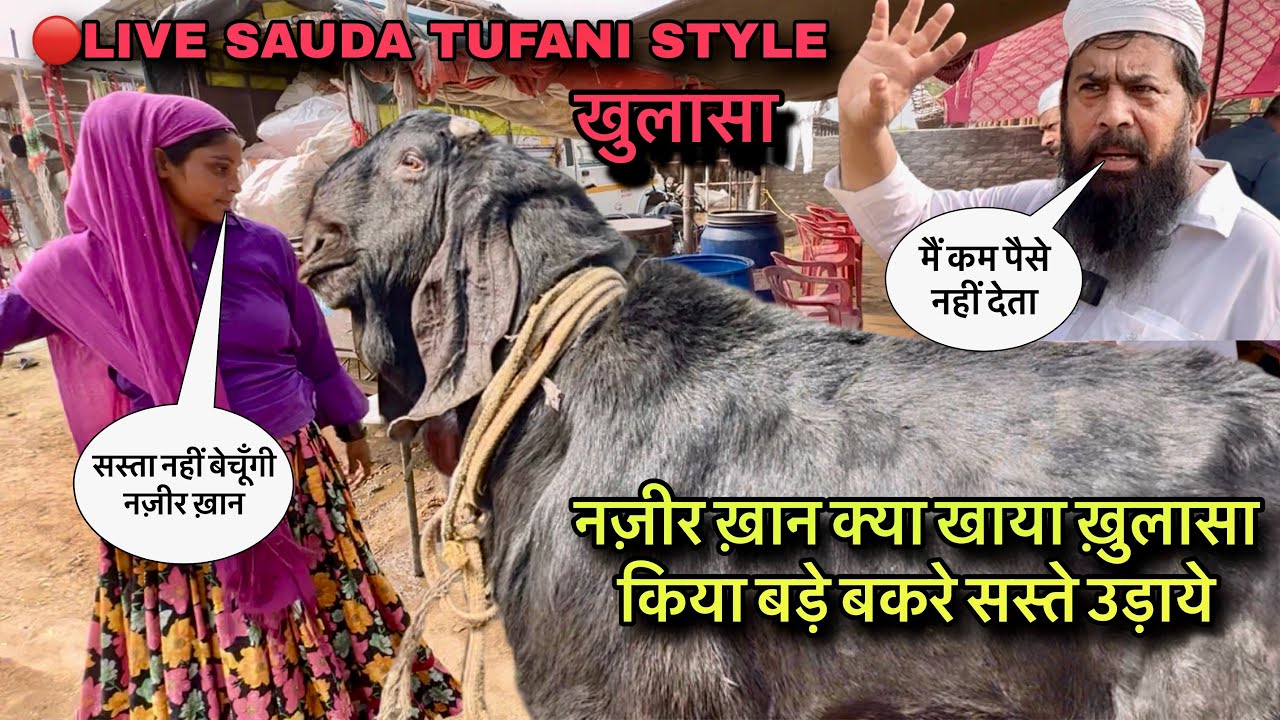 नज़ीर ख़ान क्या खाया ख़ुलासा किया बड़े बकरे सस्ते उड़ाये @farmingbaba #live_sauda big goats saste me