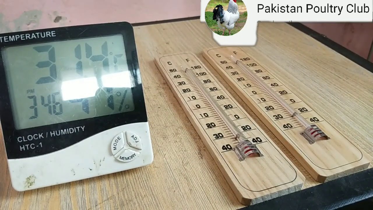 Tips for Incubator Thermometer HTC 1 Or Manual in Urdu/Hindi