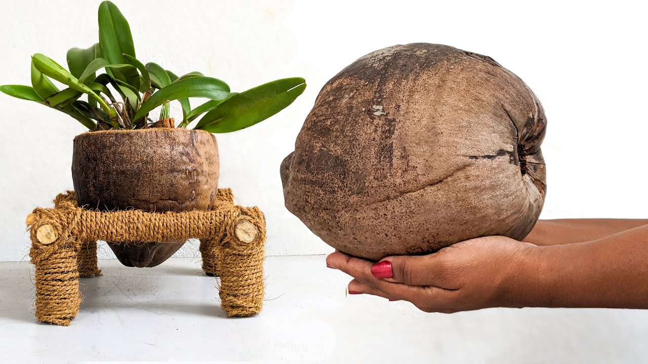 Orchid Planting Ideas |Planter Ideas Using Coconut | DIY Coconut Shell Planter Ideas | unique pots