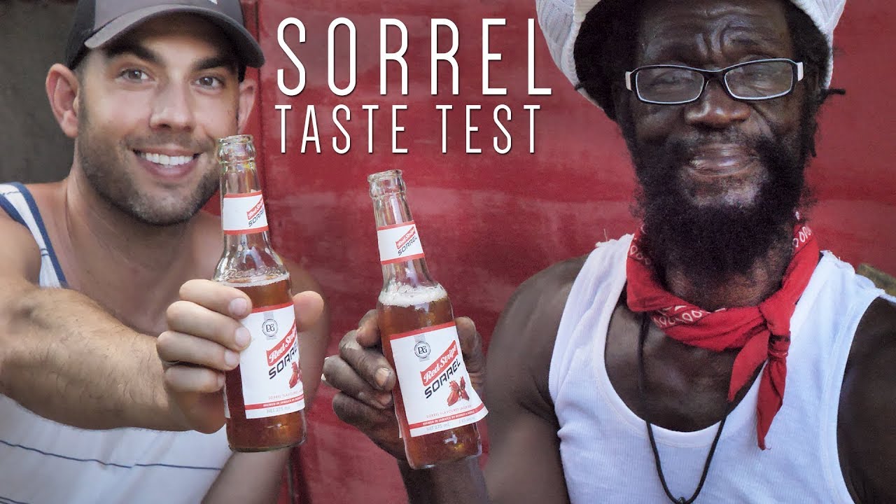 Red Stripe Sorrel Taste Test!