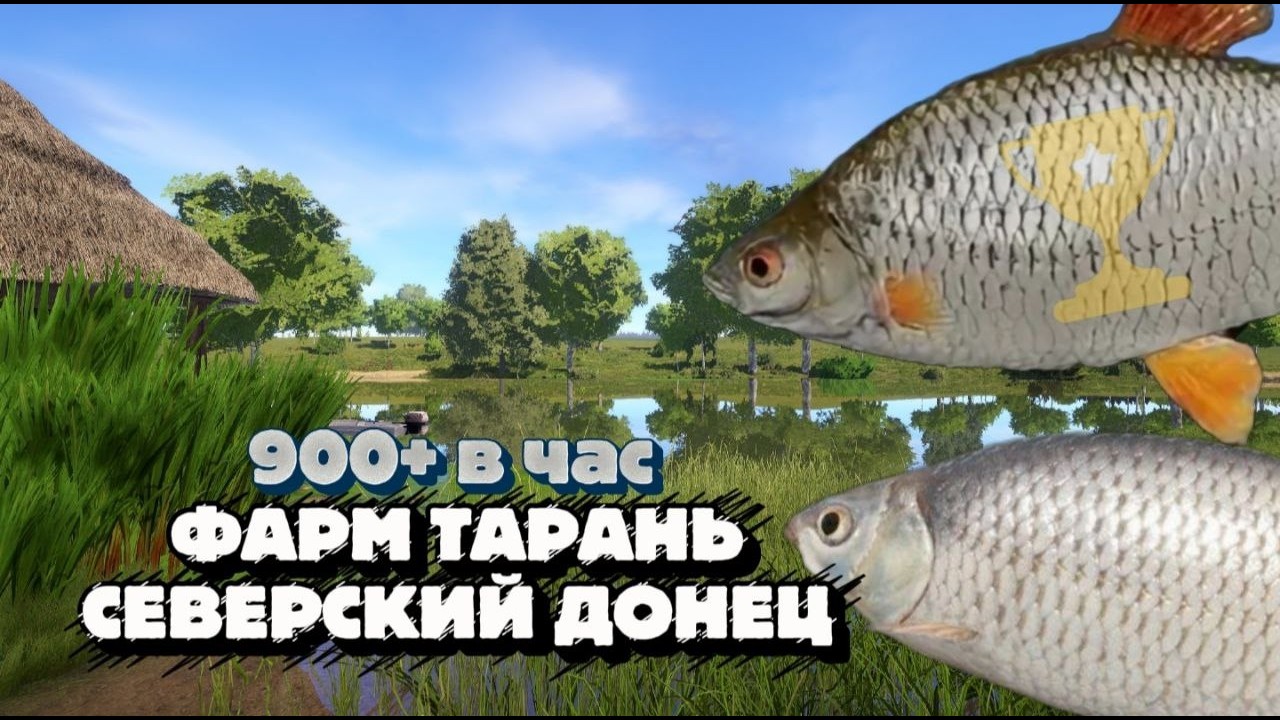 ФАРМ ТАРАНЬ. И ПРИЯТНЫЙ БОНУС. РР4