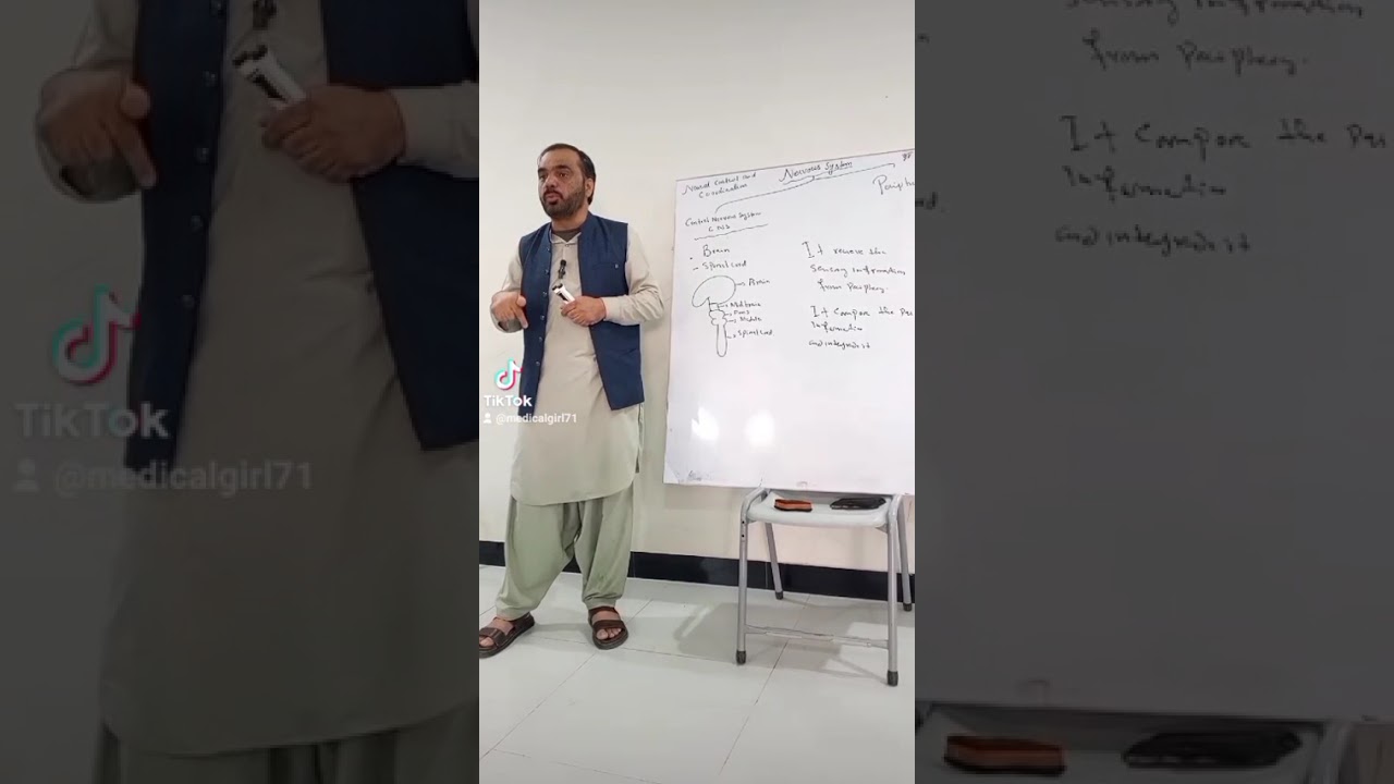 Introduction to Neuroanatomy 