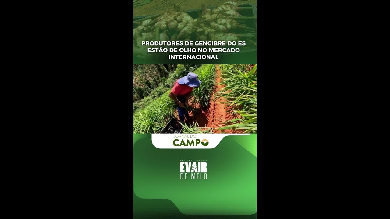 O agro capixaba bateu recorde: mais de R$ 17 bilhões em exportações em 2025