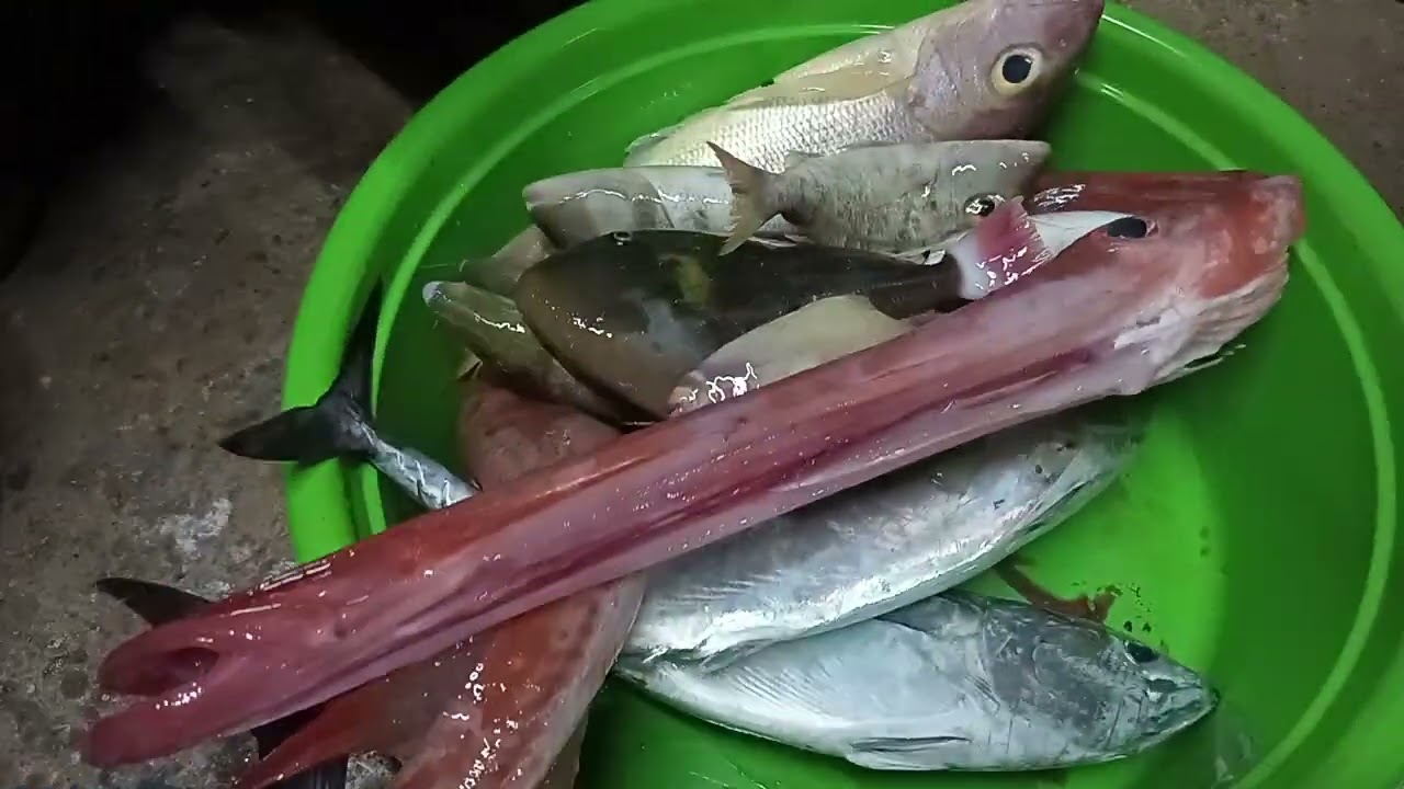 Jigging, bait and wait, and trolling. 