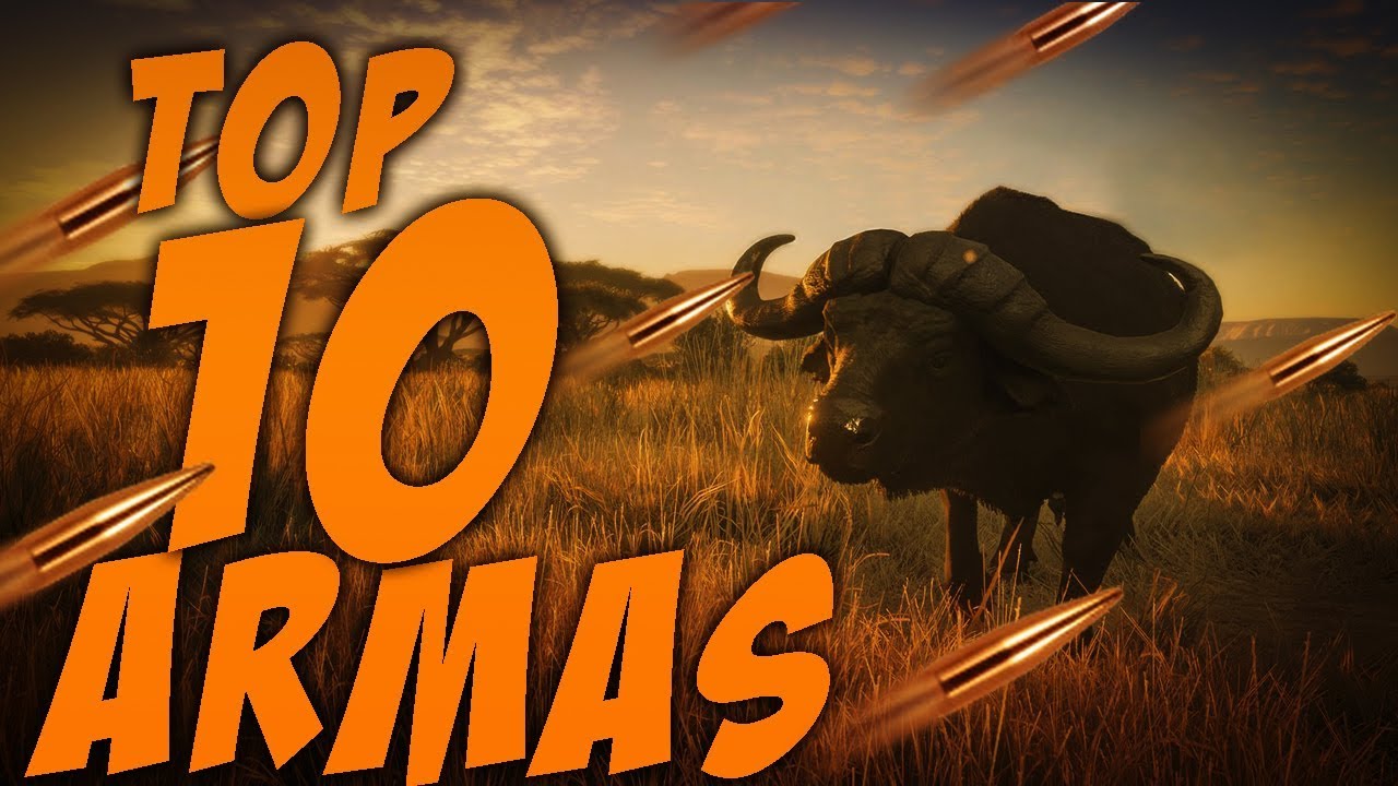 TOP 10 ARMAS THE HUNTER CALL OF THE WILD BRASIL