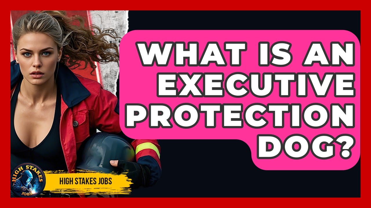 What Is An Executive Protection Dog? - High Stakes Jobs