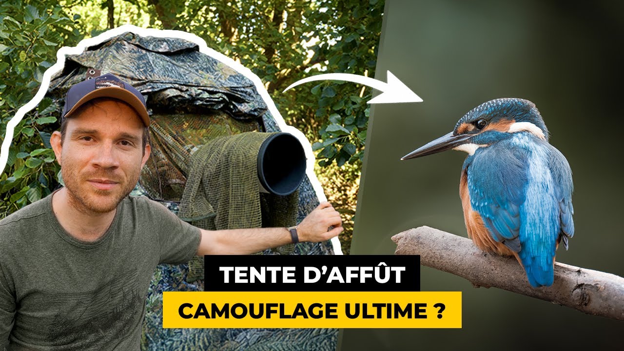 Le MEILLEUR camouflage en photo animalière ? (test terrain)