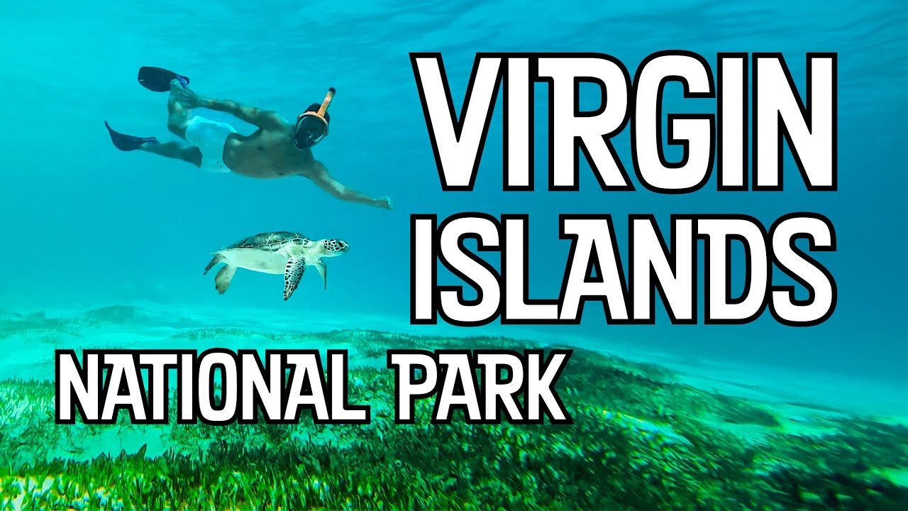 How to Visit Virgin Islands National Park: Ferry Experience | Best Snorkeling | Sea Turtles #stjohn