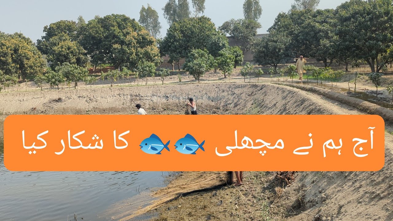 Best Way To Do Fishing 🎣🦦#foryou #motivation #fishing #fish #trap #trending #organic #farming #pond 