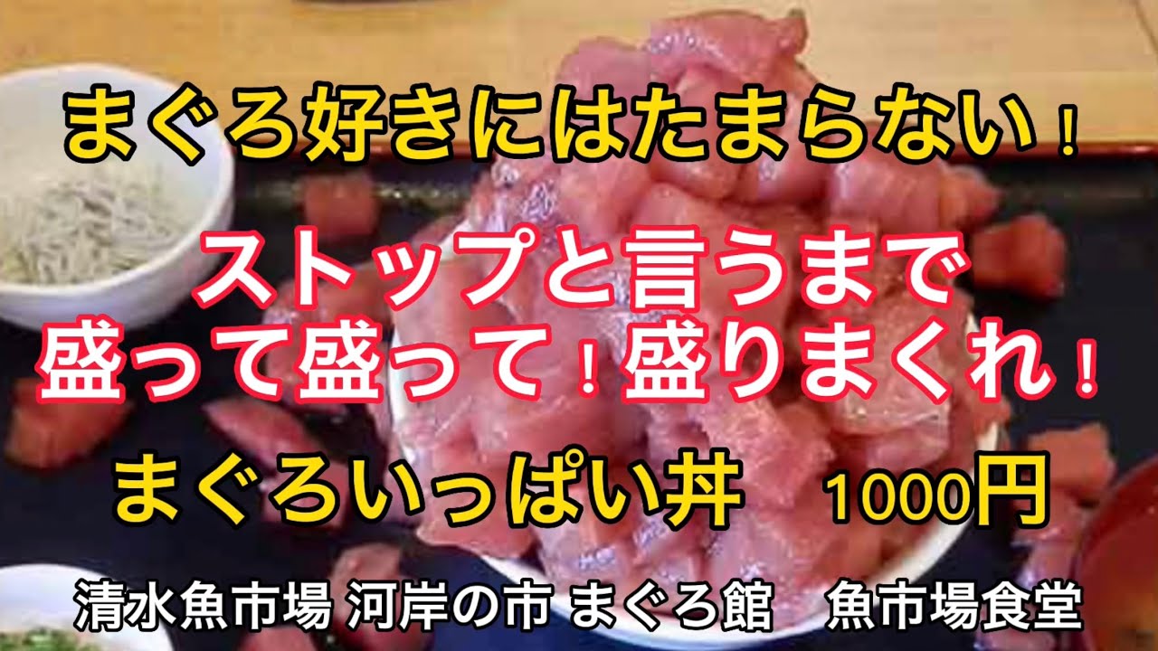 静岡市【魚市場食堂】まぐろいっぱい丼　清水魚市場 河岸の市 まぐろ館