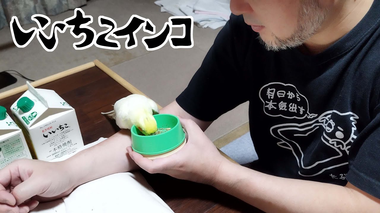 食事を促しながら飼育について語ります・その1（2021年1月14日の様子）