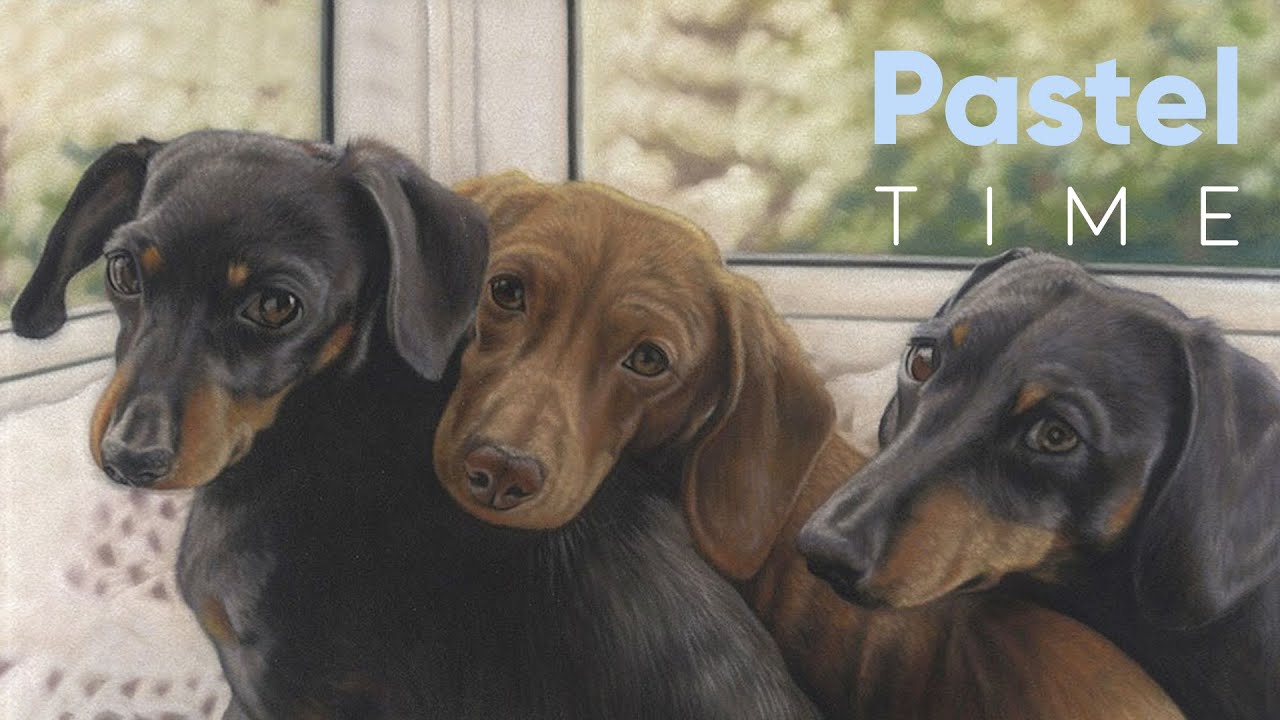 Three Dachshunds in Soft Pastel - Timelapse
